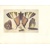 Hollar - Osm leptů z cyklu grafických listů zobrazujících sbírku hmyzu hraběte Arundela